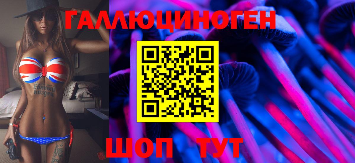 Галлюциногенные грибы Psilocybine cubensis Саров